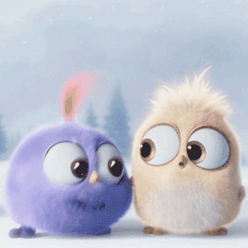 Angry Birds Birds GIF