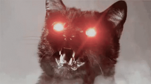 Angry C At GIF