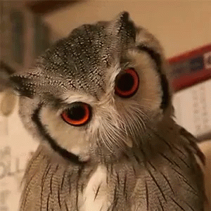 Angry GIF