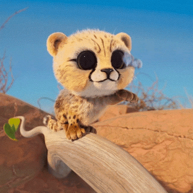 Animal Big Eyes GIF