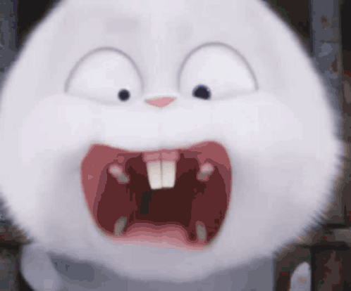 Animals GIF