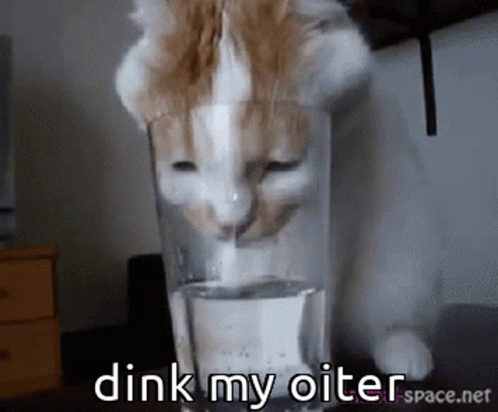 Animals With Captions Dink My Oiter GIF