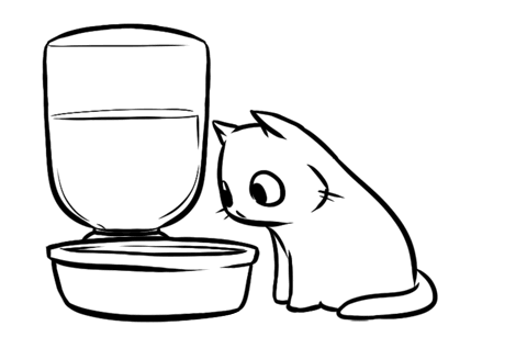Animation Cat GIF