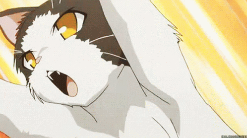 Anime Animu GIF