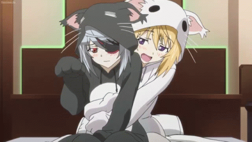 Anime Cat GIF