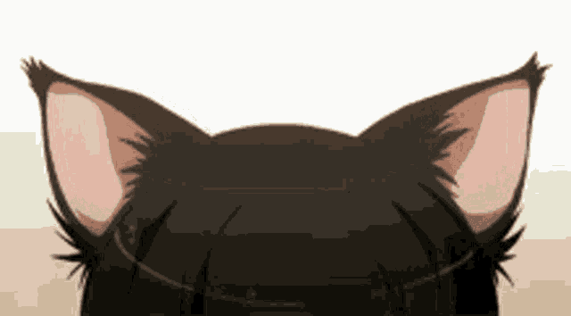 Anime Cat Happy GIF