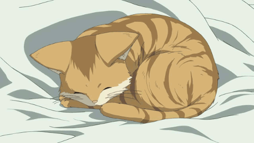 Anime Cat Sleep GIF