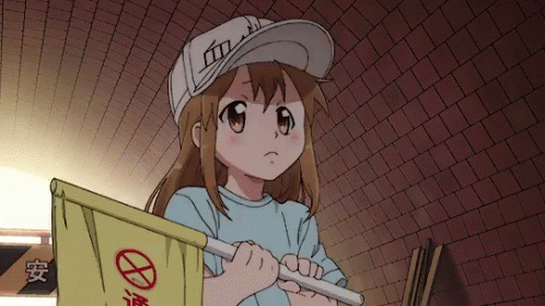 Anime Cells At Work GIF