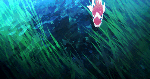Anime Fish GIF
