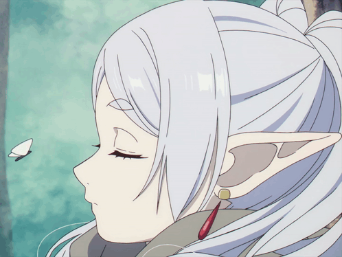 Anime Frieren GIF