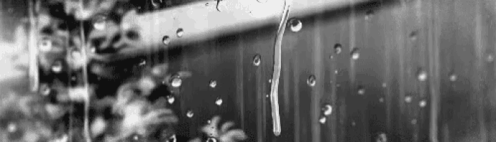 Anime Window GIF