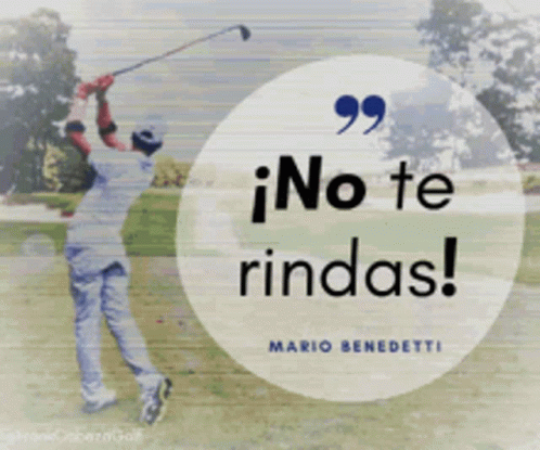 Animo ánimo GIF