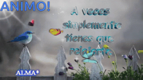 Animo Frase Confianza GIF