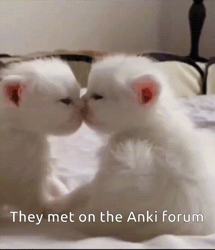 Anki Blt GIF