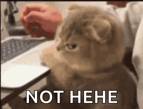 Annoyed Disappointed GIF
