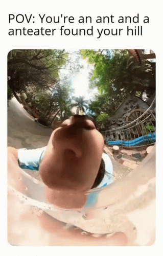 Anteater Hill GIF