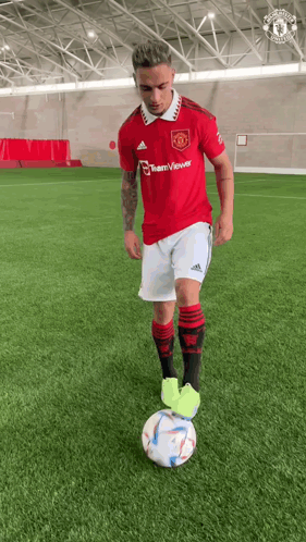 Antony Goat GIF