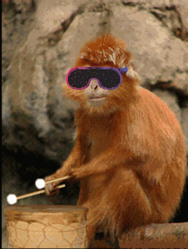 Ape Galaxy Apehalla GIF