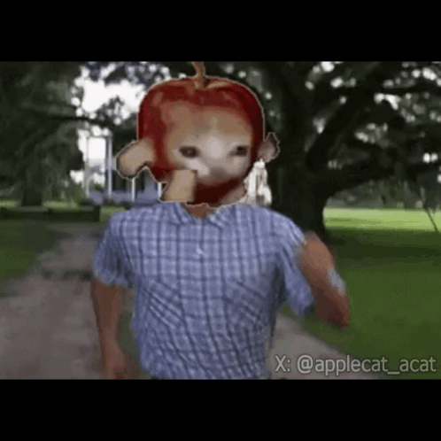 Apple Cat GIF
