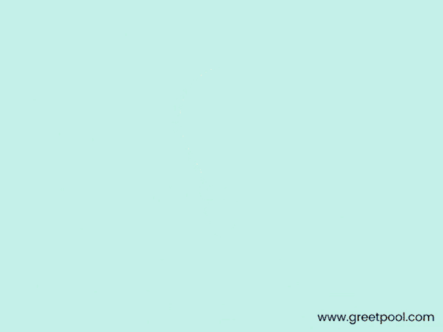 Appreciate Well Done GIF