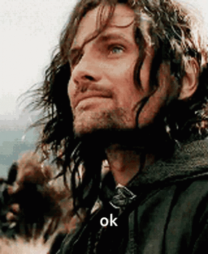 Aragorn Sigma GIF