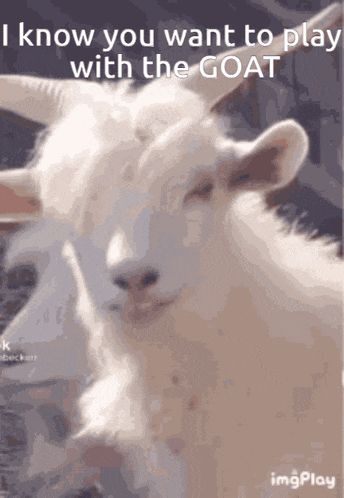 Argoetti Rgoate GIF