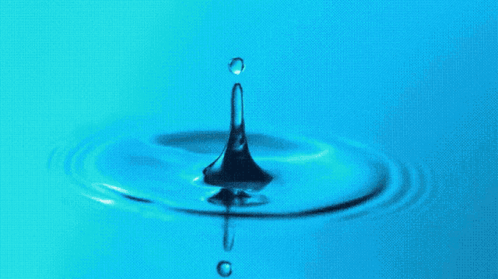 Arkko GIF