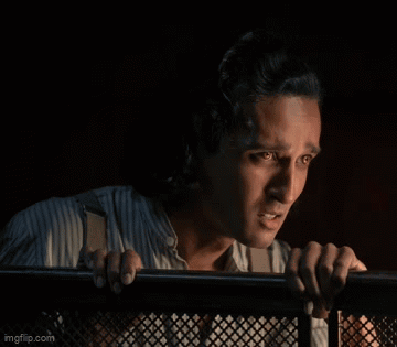 Armand Liar GIF
