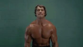 Arnold Again GIF