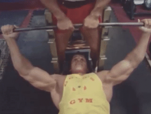 Arnold Schwarzenegger GIF