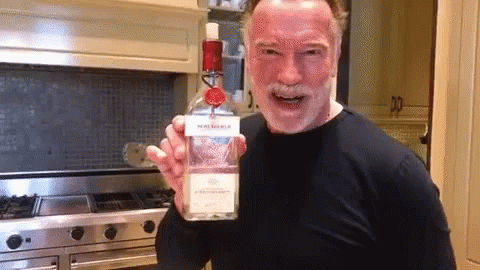 Arny Arnold GIF