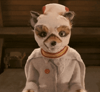 Ash Ash Fox GIF