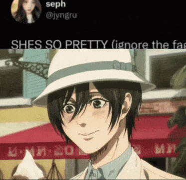 Attack On Titan Aot GIF