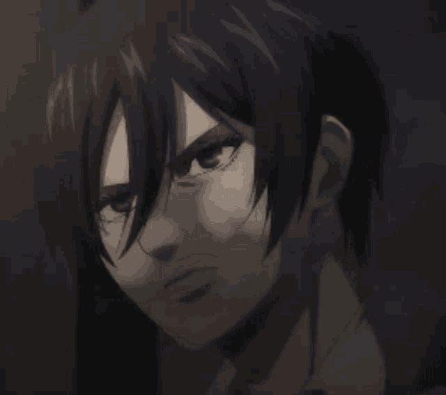 Attack On Titan Mikasa Ackerman GIF
