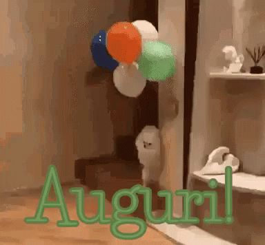 Auguri Augurissimi Tanti Auguri Congratulazioni Bravissimo Bravissima Buon Compleanno Onomastico GIF