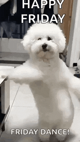 August GIF