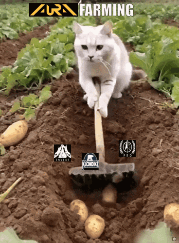 Aura Farming Ashes Of Creation GIF