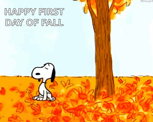 Autumn Fall GIF