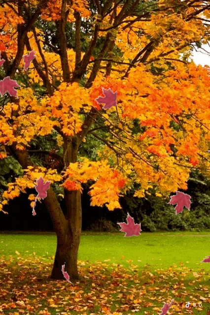 Autumn GIF