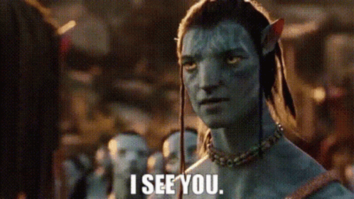 Avatar Movie I See You GIF