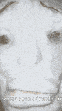 Averagesonofrundagar GIF