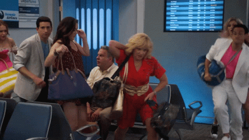 Avion GIF
