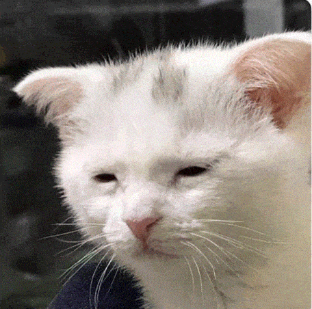 Awake Im Awake GIF