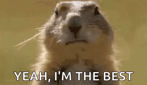 Awesome Im GIF