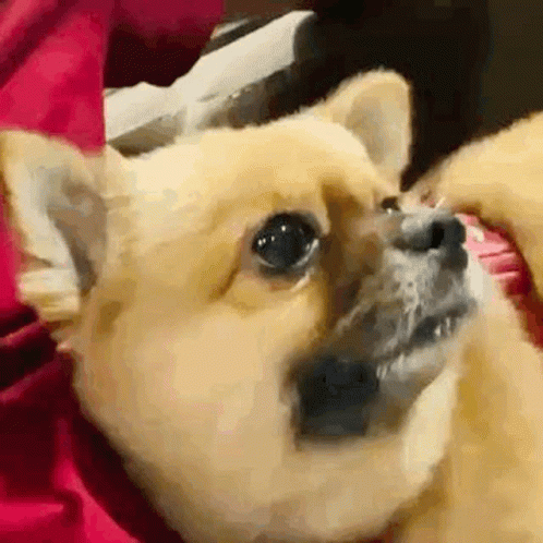 Awkward Awkward Meme GIF