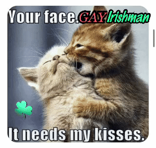 Aww Shucks Aww Man GIF