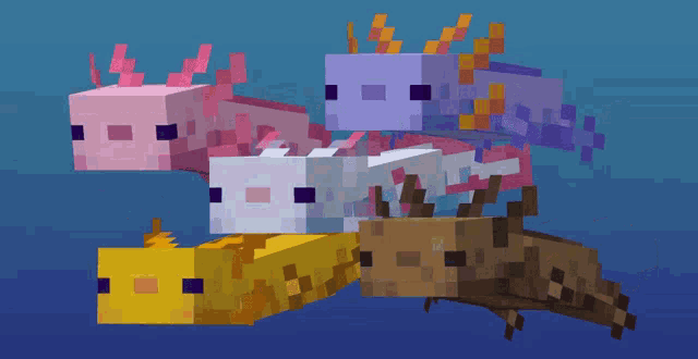 Axolotl Copy GIF