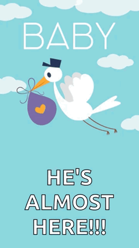 Baby Shower GIF