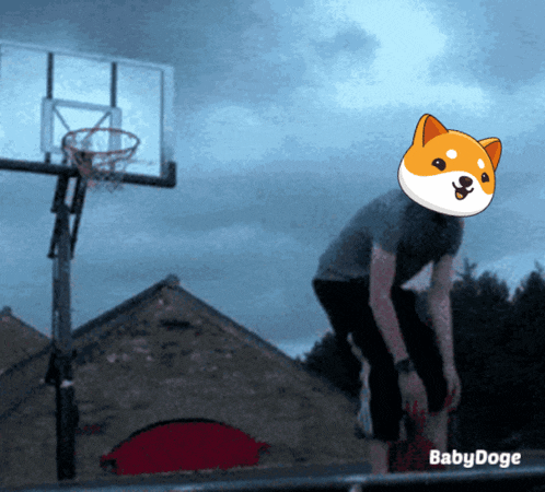 Babydoge Crypto GIF