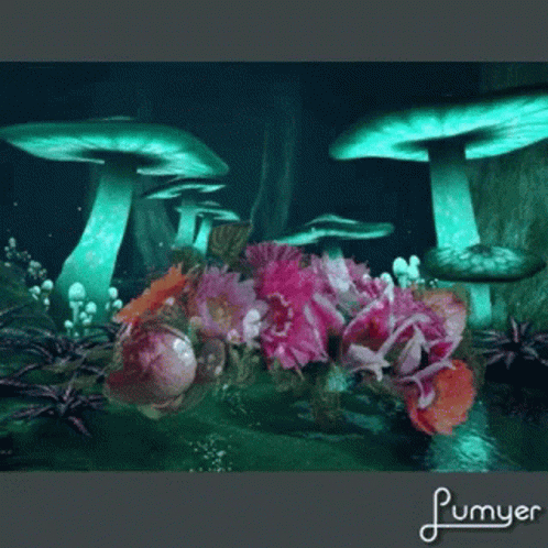 Background Animated Mushrooms GIF